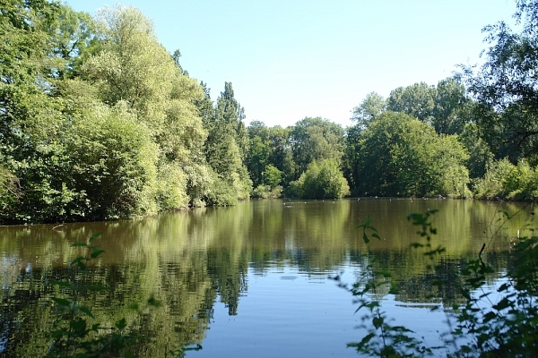Der Entenweiher: Viel mehr als der grösste See vom Kanton Basel-Stadt